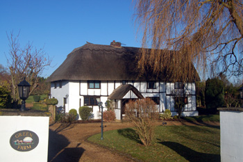 Green Farm December 2008